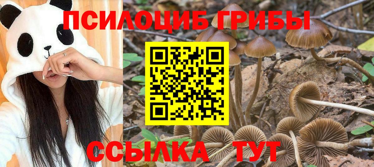 Галлюциногенные грибы GOLDEN TEACHER Тамбов